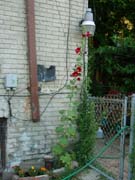P7190031